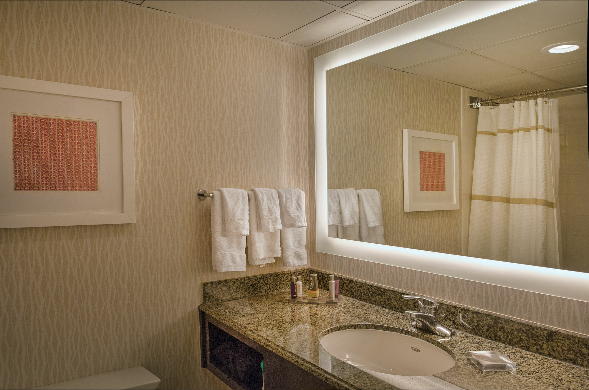 Marriott St. Louis Airport Hotel Edmundson Exterior foto